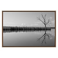 SIGNWIN Framed Canvas Wall Art Lake Reflection Nature Wilderness Photography Minimalism Modern Scenic Dramatic Black and White for Living Room, Bedroom, Office - 16
