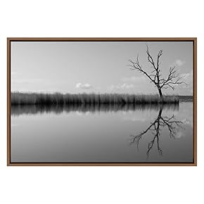 SIGNWIN Framed Canvas Wall Art Lake Reflection Nature...