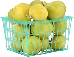 Figs Whitegreen Organic, 1 Basket