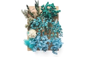 Liveish Natural Pressed Flowers Multiple Colorful Boho Mini Dried Flowers for Art Crafts DIY,Dry Flat Flowers Leaves for Resin Molds, Soap Candle Scrapbooking（Blue）