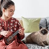 Alipis Childrens Ukulele Toy Mini 4-String Musical Instrument for Kids Toddler view 2
