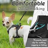 Eagloo Small Dog Harness Adjustable Front Clip No Pull Reflective Black XS view 4