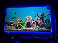 Review Image by Derek26 Derek26