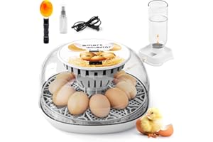 SENXINGYAN Egg Incubator for Hatching Chicks, Automatic Egg Turner Holds 12 Eggs, Smart Incubator 360° Clear Window with Temperature Display Egg Candler for Small Poultry Chickens Ducks Quails Eggs
