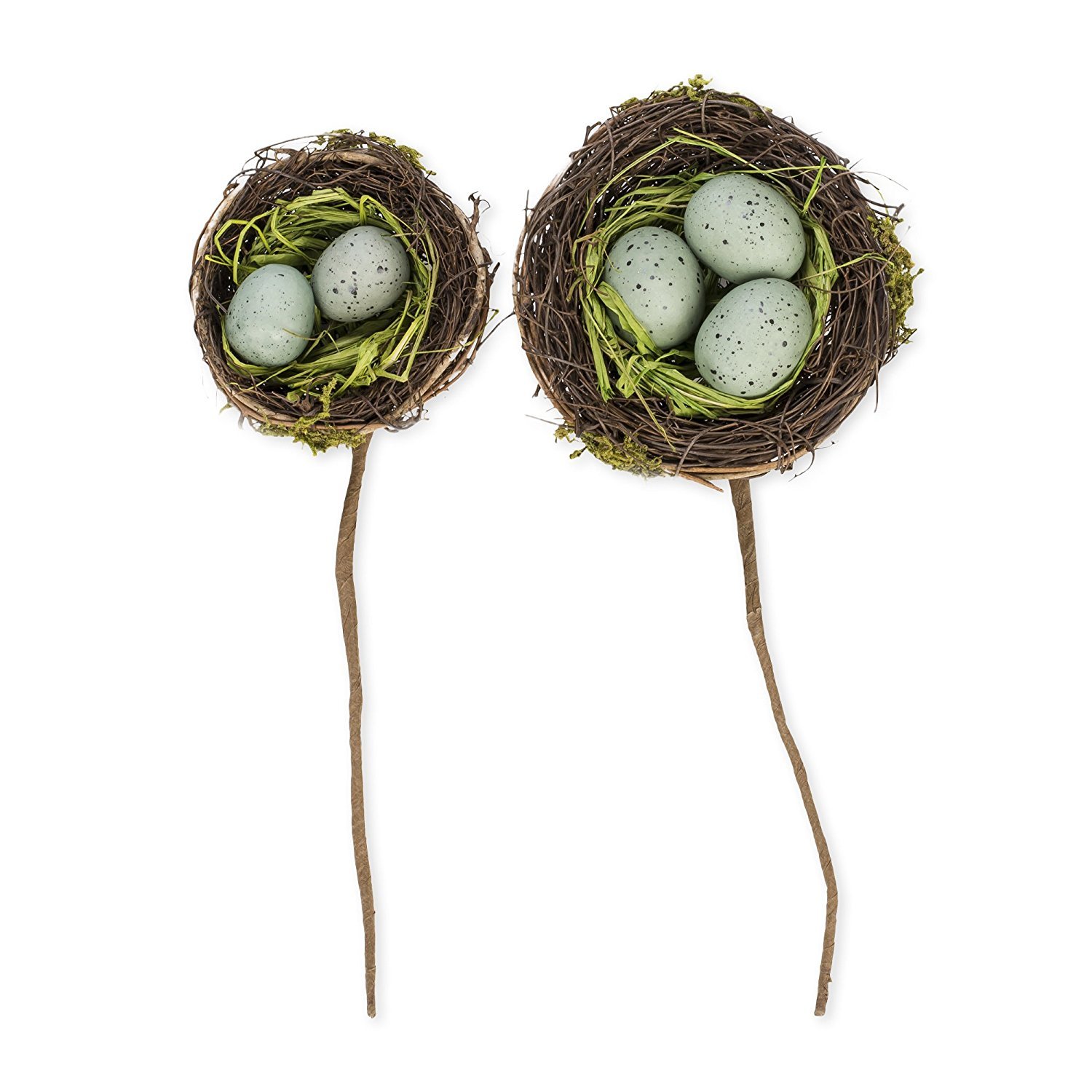 Amazon Com Robins Egg Blue 4 And 3 Inch Realistic Decorative