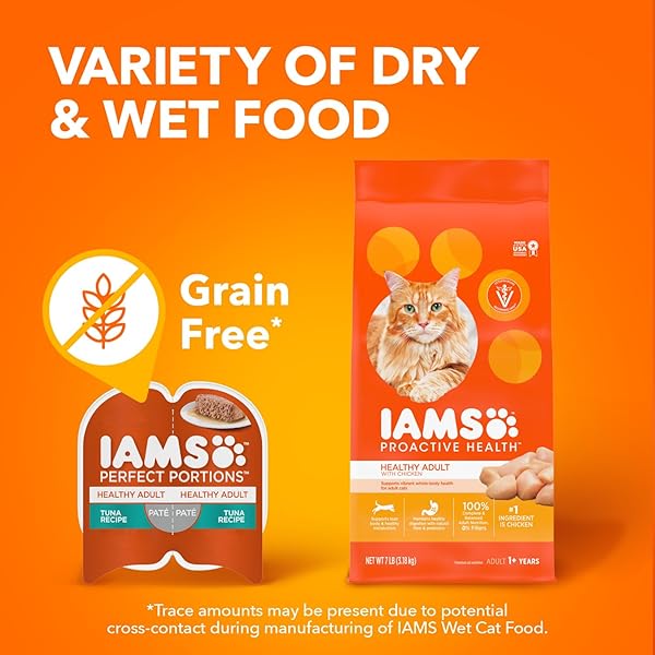 IAMS PERFECT PORTIONS HEALTHY ADULT GRAIN FREE WET CAT FOOD PATE, CHICKEN RECIPE, 2.6 OZ. EASY PEEL TWIN-PACK TRAYS (24 COUNT, 48 SERVINGS)