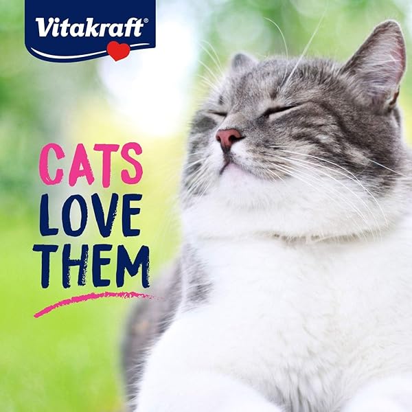 VITAKRAFT PURRSTICKS MEATY CAT STICKS – CHICKEN WITH SALMON – SEGMENTED AND BREAKABLE MEATSTICK – DELICIOUSLY TENDER – 6 COUNT (PACK OF 1)
