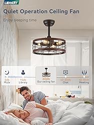 LEDIARY 16.5in Caged Ceiling Fan with