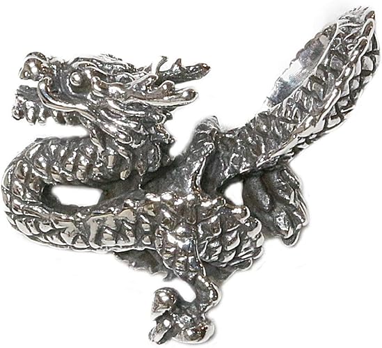 Amazon シルバー925 ドラゴン 竜 龍彫り ペンダント メンズ シルバー ネックレス シルバーアクセ トップ ネックレス 通販