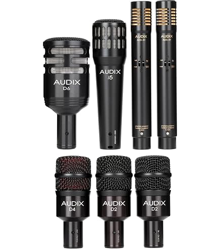 Amazon.com: Audix VX10 Handheld Condenser Microphone : Musical