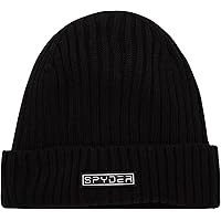 Amazon.com: Spyder Mens Logo Ski Beanie : Clothing, Shoes