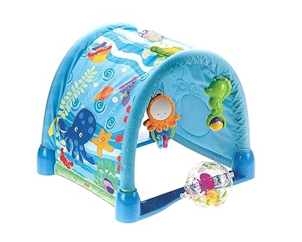 fisher price ocean wonders kick and crawl gym