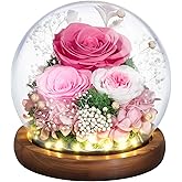 Emibele Valentines Eternal Rose Gifts for Her Girlfriend, Preserved Real Rose in Glass Dome with LED Light, Flowers for Delivery Prime, Birthday Anniversary for Women Wife Mom