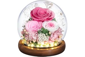 Emibele Mother's Day Eternal Rose Gifts for Mom, Preserved Real Rose in Glass Dome with LED Light, Flowers for Delivery Prime