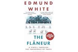 The Flaneur: A Stroll through the Paradoxes of Paris