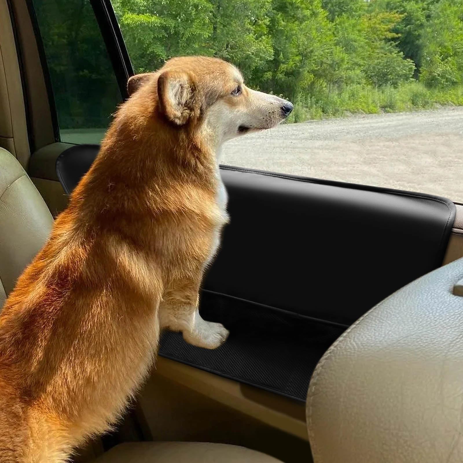 BASELIFE Pet Car Door Cover Waterproof Polyester Protector For Back Seat Doors, Anti Scratch And Machine Washable, Safe For Dogs, Suitable For All (2 Pack)