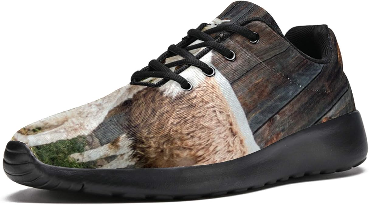 MAPOLO Alpaca CottagesVacation Rentals Wool