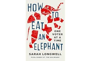 How to Eat an Elephant: One Voter at a Time