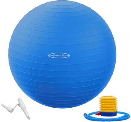 Fitvids Exercise Ball 65cm 1