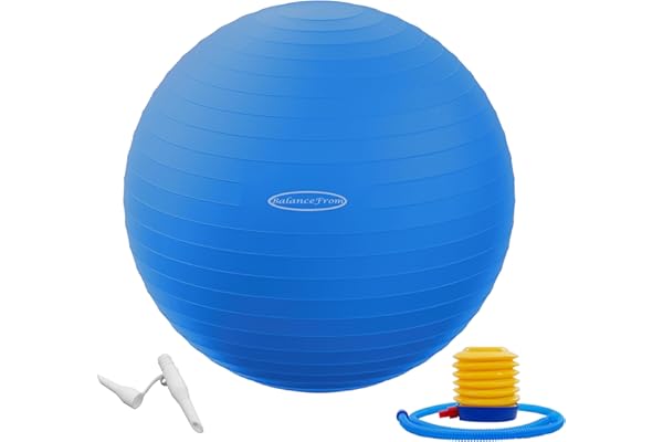 Fitvids Exercise Ball 65cm 1