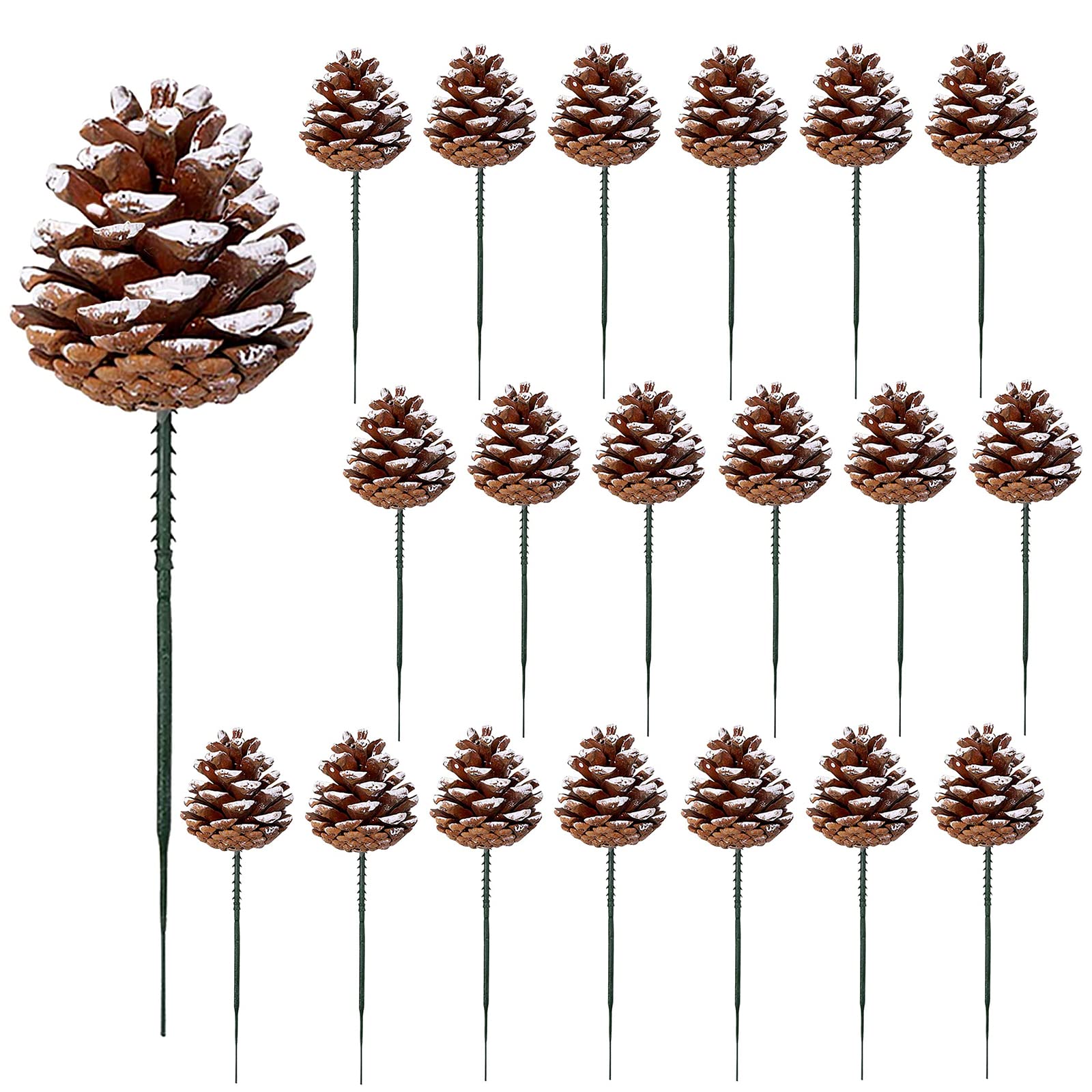 20 Pieces Christmas Natural Pine Cones 2 Inch pine cones for decoration Xmas Tree Decorations Wreath Ornaments Home Party Holiday Decor