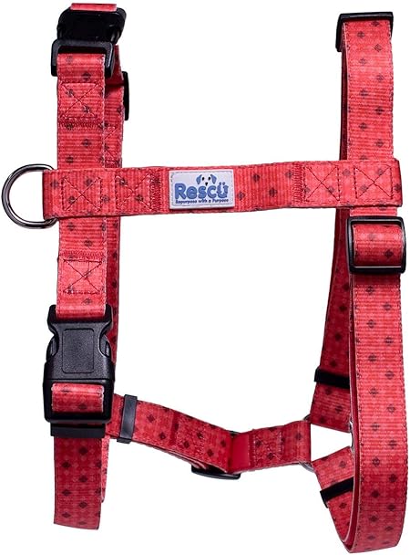 vibrant dog harness