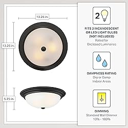 DESIGNERS FOUNTAIN 2-Light Flush Mount Ceiling