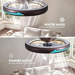 LUDOMIDE Ceiling Fan with Lights and