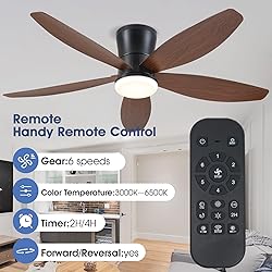 Surtime Ceiling Fans with Lights-48 Low Profile