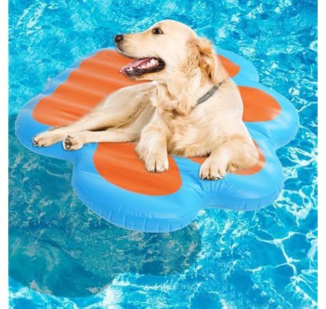 inflatable dog pool float