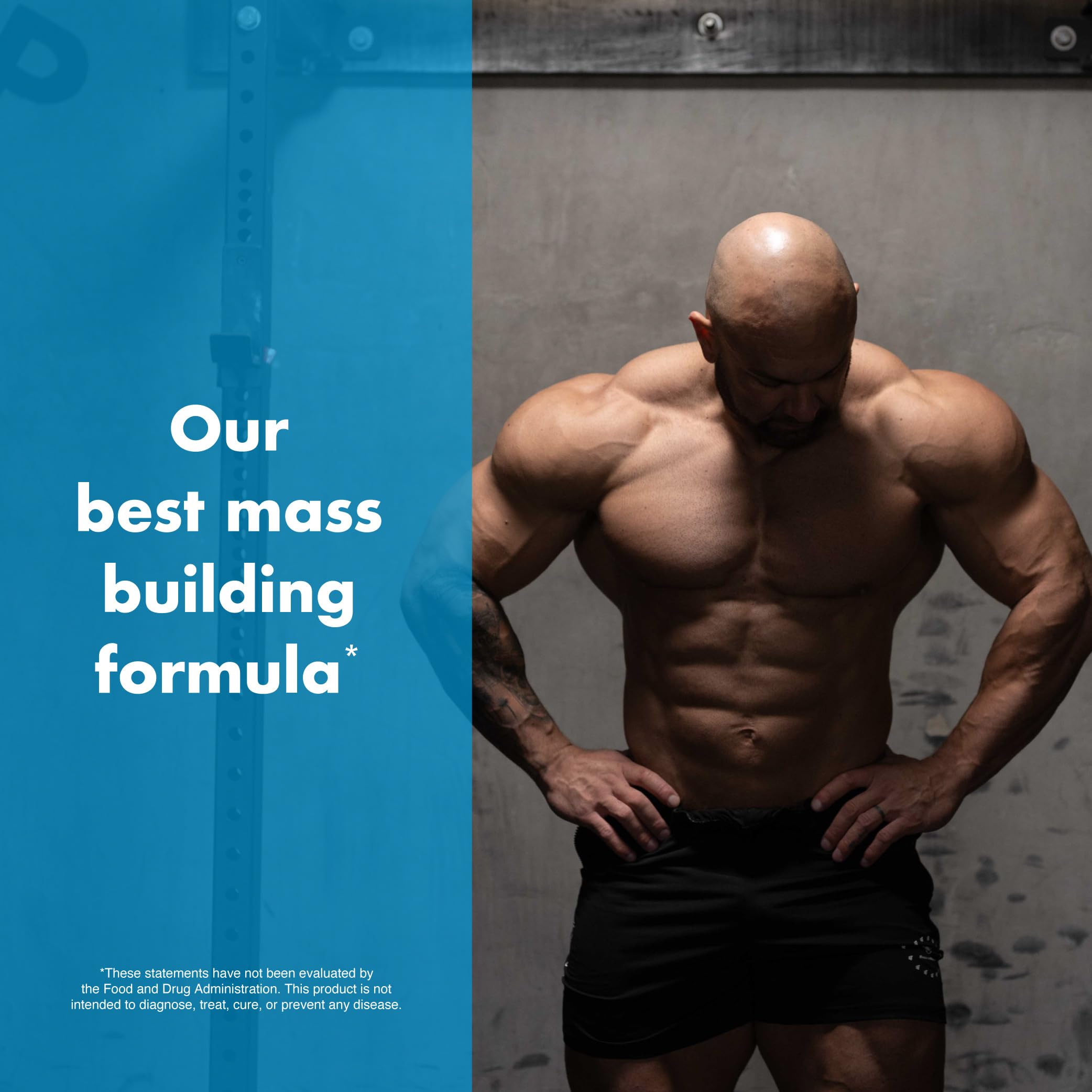 Anabolic Warfare Project Bulk, Mass Building Formula, Protein Synthesis, Strength, Muscle Definition, Made with Botanicals*