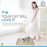 SOL 2pk Cat Scratch Mat 60x40cm Sisal Fabric Anti-Slip Backing view 5