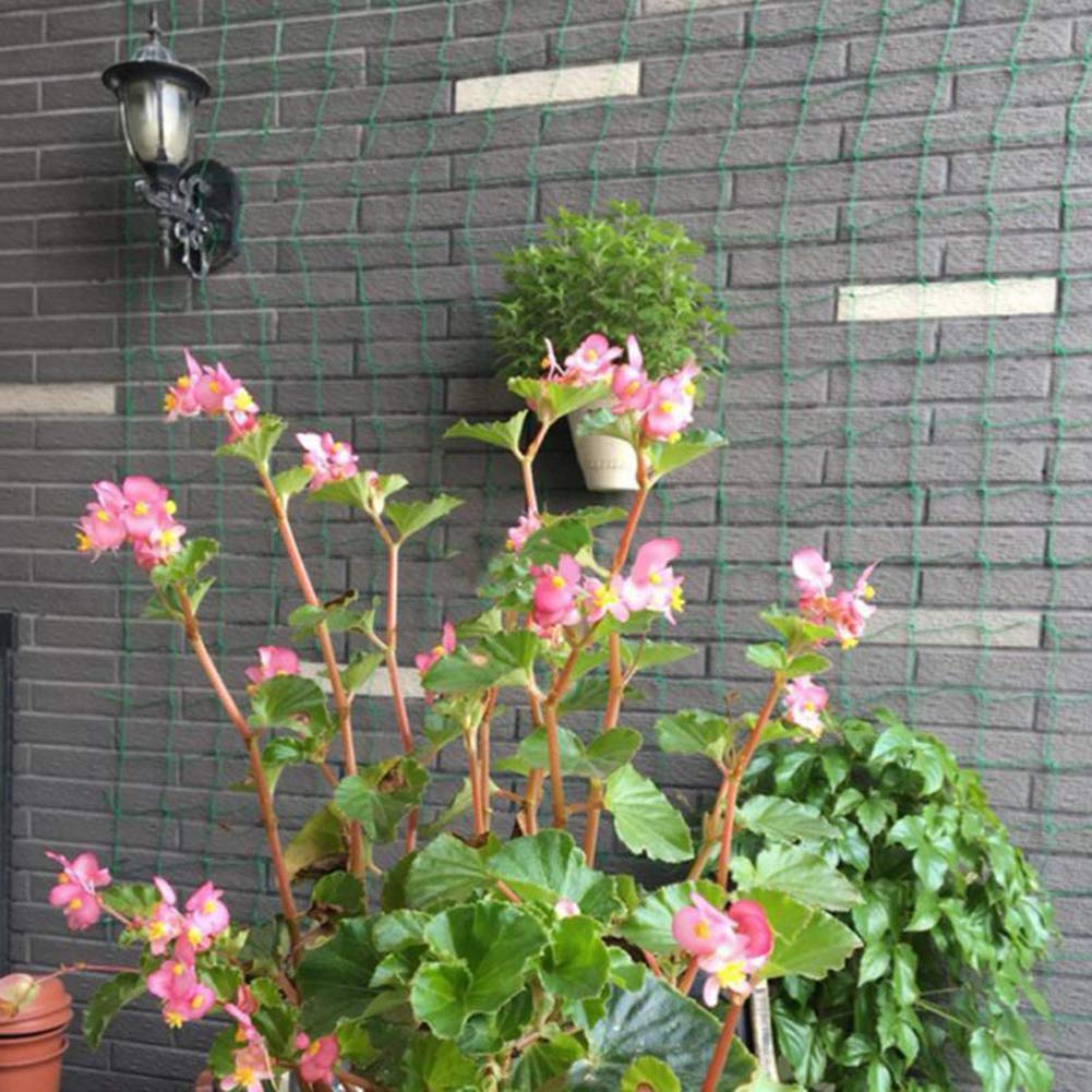 PoeHXtyy Celosía de nylon para plantas trepadoras Hortalizas y ...