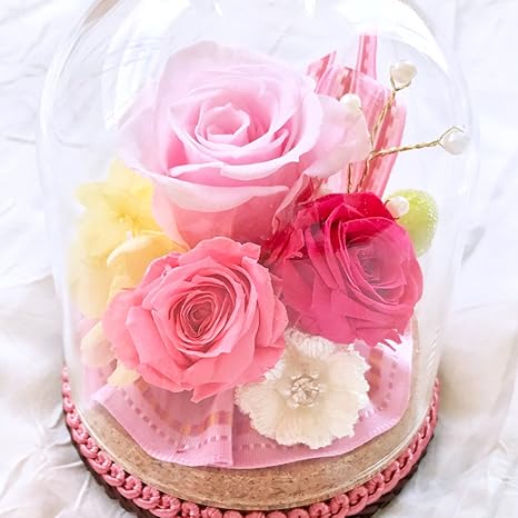 Amazon プリザーブドフラワー 新マリーアントワネット コルクドーム型 ピンクレッド バラ３輪 プリザーブドフラワー オンライン通販