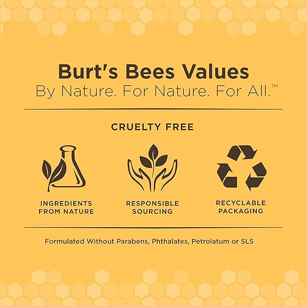 BURT’S BEES FOR PETS KITTEN GROOMING WIPES WITH BUTTERMILK AND HONEY, WATERLESS CAT BATH WIPES FOR FACE, PAWS, TAIL AND COAT CLEANING, GENTLE BATH ALTERNATIVE FOR INDOOR FELINES, 50 COUNT