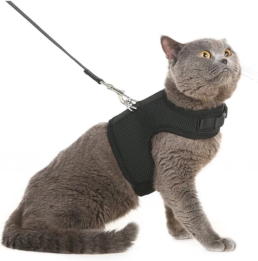 best cat leash harness