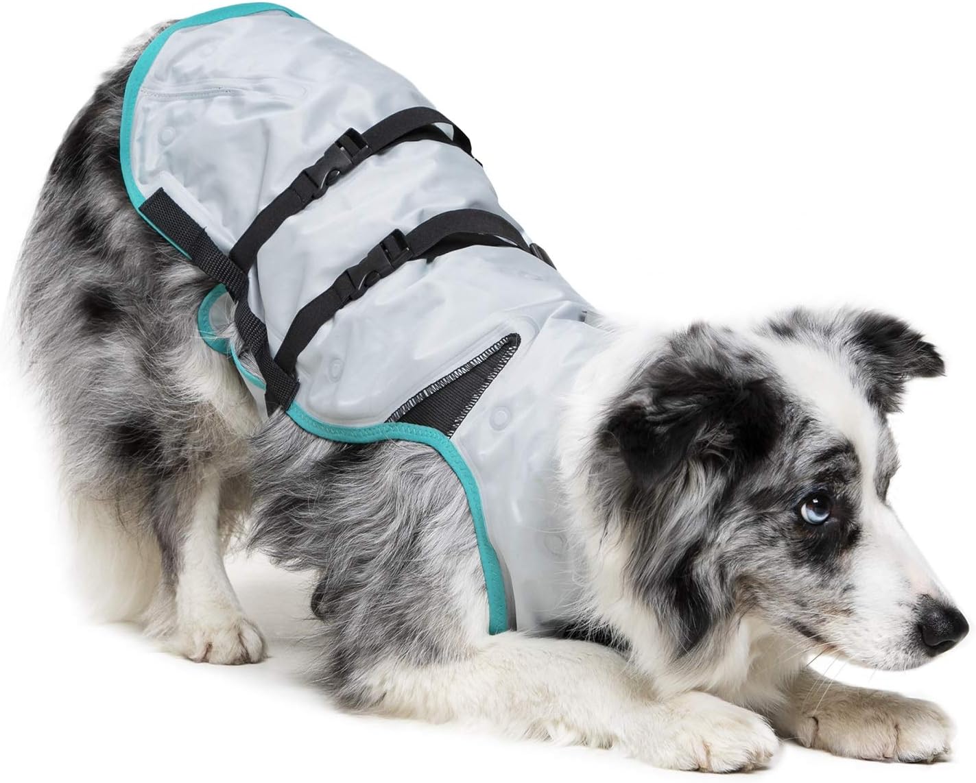 Suitical DRY Cooling Vest Dog, Large, Silver - Image 3