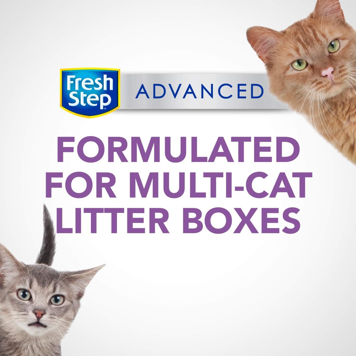 Fresh Step Advanced Multi-Cat Clumping Cat Litter with Odor Control, 37 lbs Total ( 2 Pack of 18.5 lb Boxes) : Pet Supplies