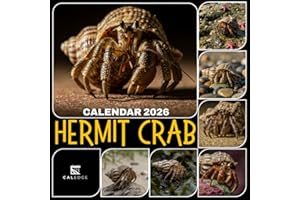 Hermit Crab Calendar 2026: Monthly Planner Featuring Coastal Creatures with Unique Shell Homes and Charming Photos