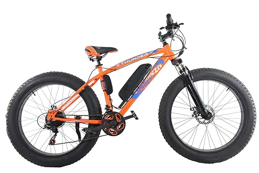 thunder wind electric bike price