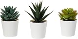 IKEA FEJKA Mini Artificial Succulent Desk Plants 3 Pack 13 cm view 2