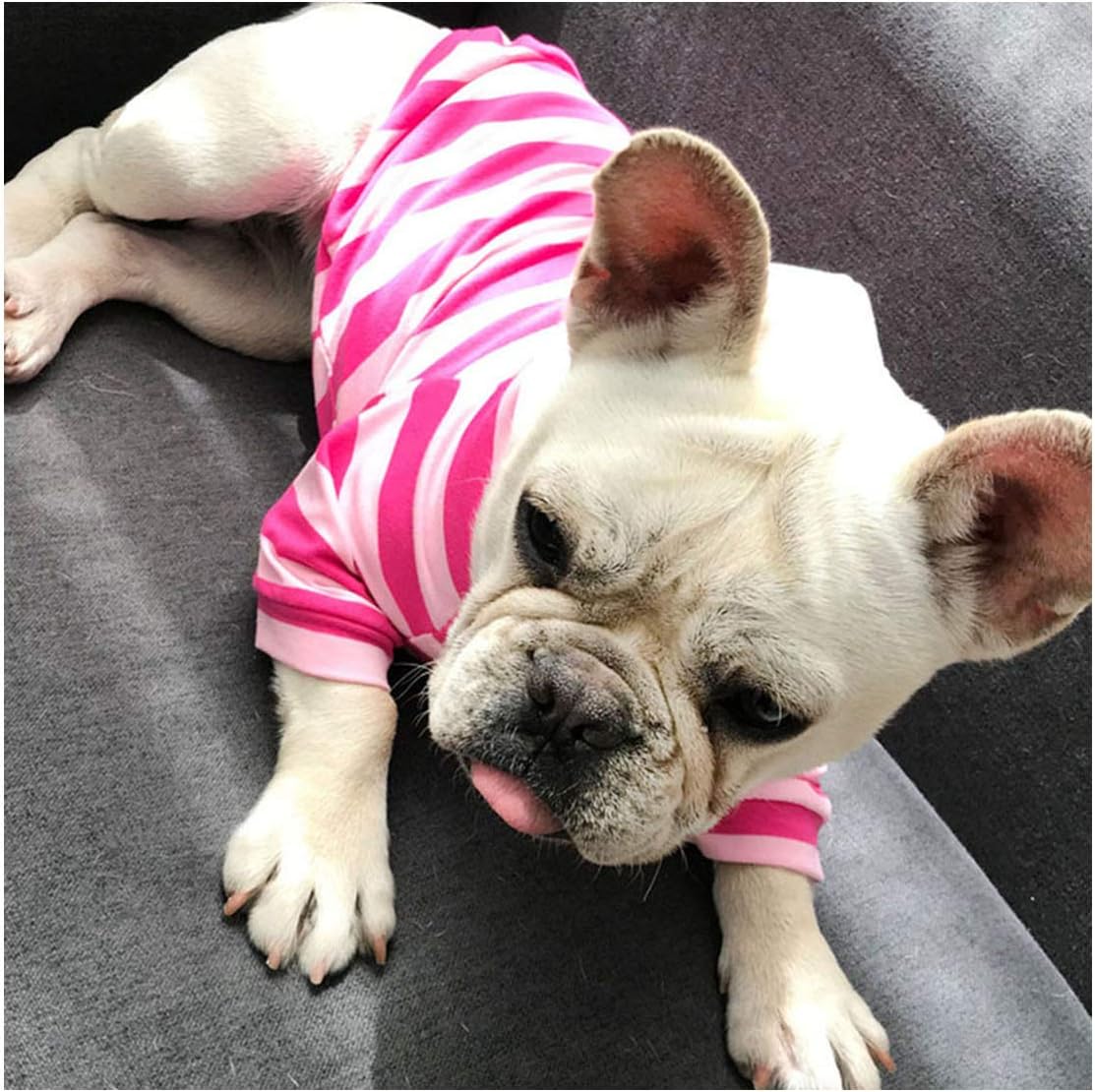 bulldog jumpers for dogs