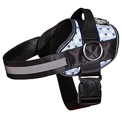 Joyride Basic Essential Dog Harness 1.0