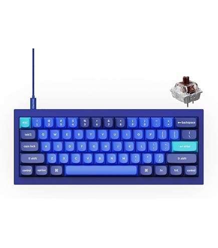 Amazon.com: Keychron Q4 Wired Custom Mechanical Keyboard, 60