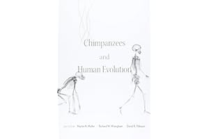 Chimpanzees and Human Evolution