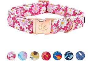 Elegant little tail Dog Collar, Pink Floral Pattern Pet Collar Durable Cute Dog Collars Summer Female Pet Gift Adjustable Dog Collar for Medium Dogs