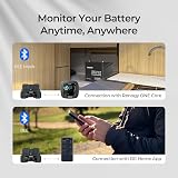 Renogy Shunt 300A with Built-in Bluetooth Battery Monitor view 4