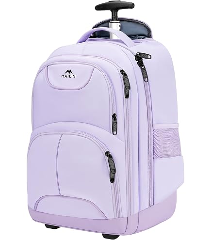 JanSport Driver 8 Rolling Backpack