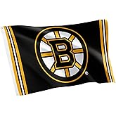 Desert Cactus Boston Bruins Flag NHL 100% Polyester Indoor Outdoor 3x5 feet National Hockey League Team Flags (Flag A)