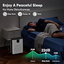 DAYETTE Air Purifiers for Home Large Room, H14 True